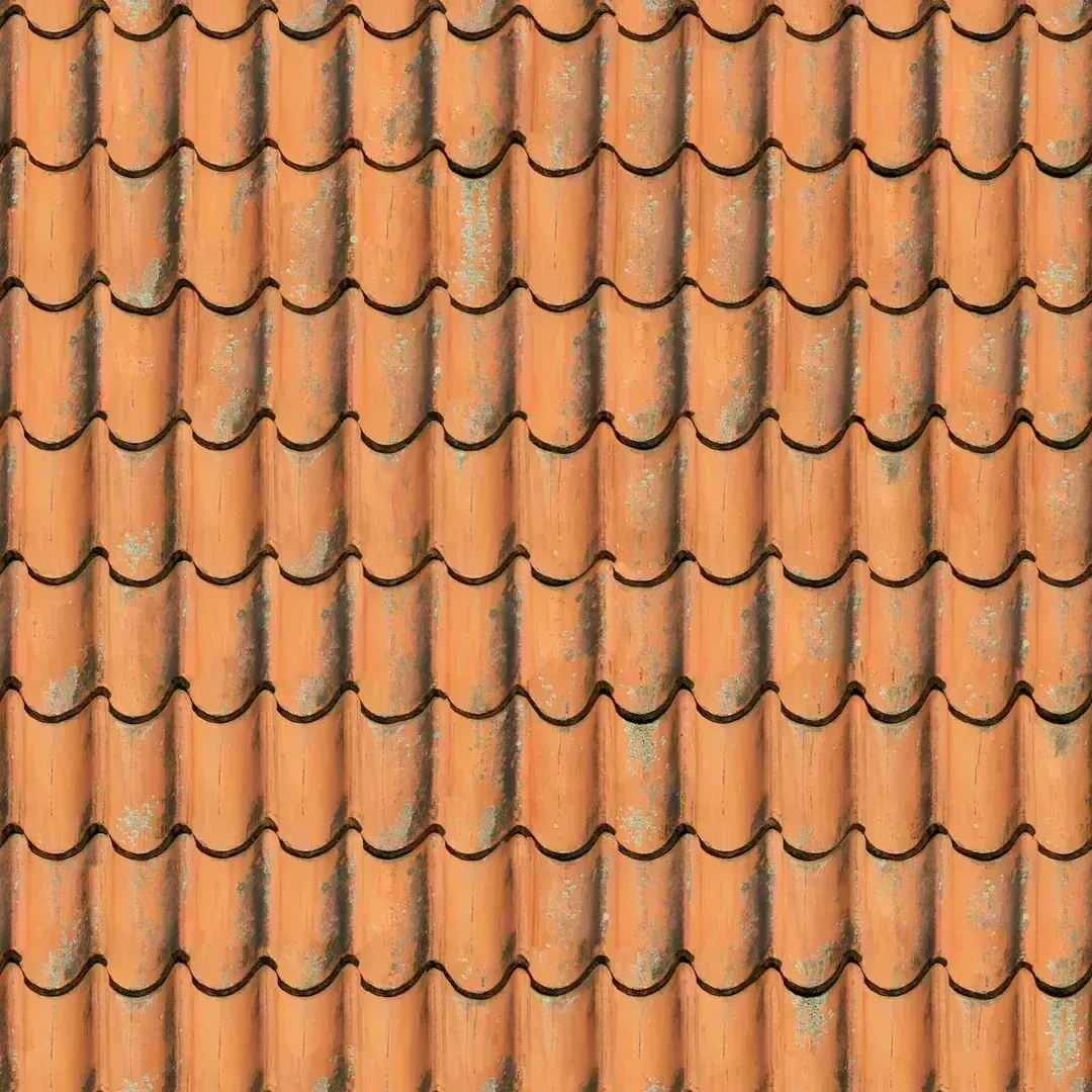 Roof Inspection